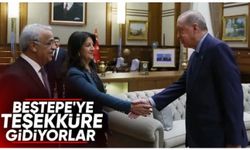 Cumhurbaşkanı Erdoğan, Pervin Buldan ve Mithat Sancar'ı kabul edecek