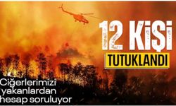 Akın Gürlek duyurdu: Orman yangınlarına ilişkin 12 tutuklama