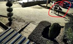 Diyarbakır’da bir erkek kucağında çocuğu olan kadını öldürdü