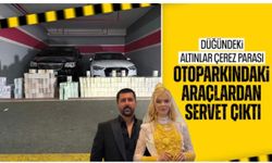 Vanlı Kara Haydar hakkında 2'nci soruşturma: 934 milyon TL tutarında döviz ele geçirildi
