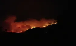 Orman yangınlarında son durum: 4 noktada alevler kontrol altında