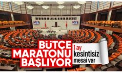 TBMM'de bütçe maratonu başlıyor