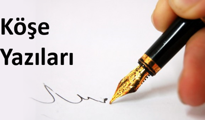 TOPRAK DAMLI EVLER VE KIRLANGIÇLAR