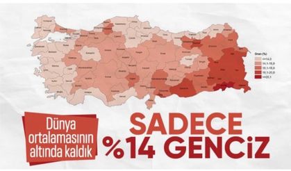 Türkiye nüfusunun yüzde 14,8'ini genç nüfus oluşturdu