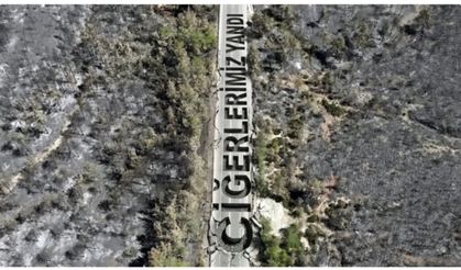 Fethiye'de yanan ormanlık alan havadan görüntülendi