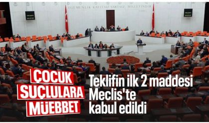 Suça sürüklenen çocuklara ilişkin teklifin ilk 2 maddesi kabul edildi