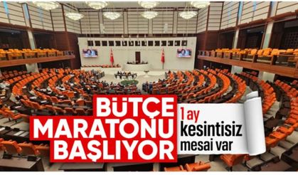 TBMM'de bütçe maratonu başlıyor