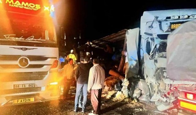 Malatya’da yem yüklü tır devrildi