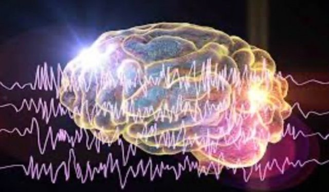 Nörobilim ve Sosyoloji: Bireyin ve Toplumun Kesişen Yolları