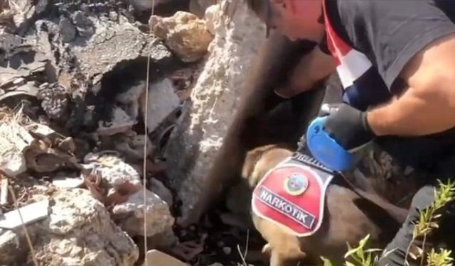 19 ilde 'Narkoçelik-42' operasyonu