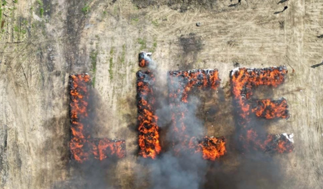 Diyarbakır’da yakılan 20 ton uyuşturucu dumanından 25 bin kişi etkilendi