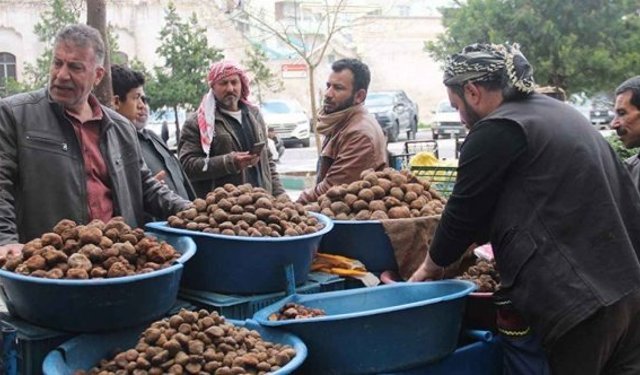 Şanlıurfa'da gücünü şimşekten almak isteyen parasına bakmayıp yiyor