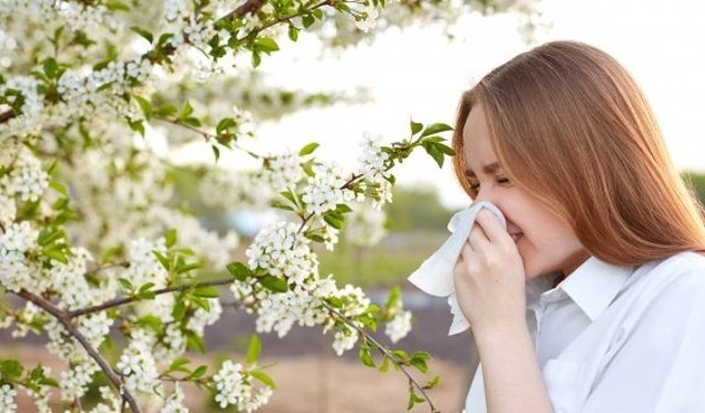 Polen alerjisinden korunmanın 7 etkili yolu
