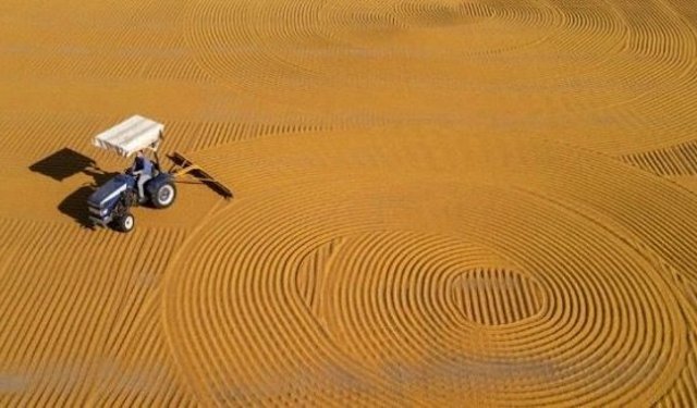 Mardin'de Bulgur Üreticilerinin "Kurutma" Mesaisi
