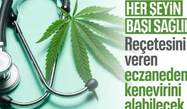 Tıbbi kenevirin eczanelerde satışı yasalaştı