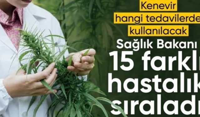 Tedavisinde tıbbi kenevir kullanılan 15 hastalık