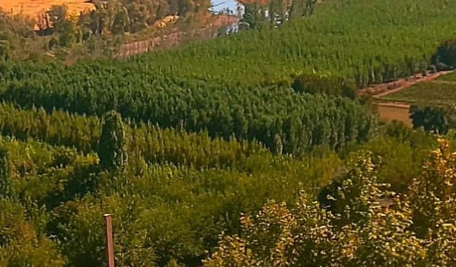 Diyarbakır’da Zaman