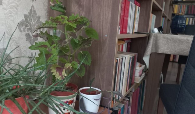 Kemal Varol Onu Sevdiğim Zamanlar  Pariste başlayan eser okuyucusunu farklı anlatı labirentlerinde gezdirdikten sonra sarsıcı bir finale ulaşır.