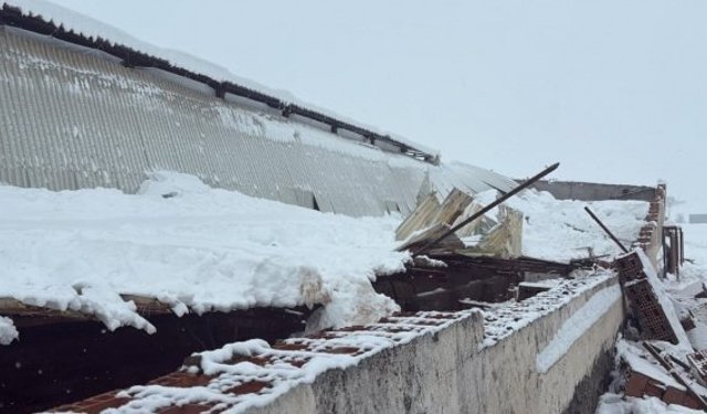 Diyarbakır'da ahır çöktü, 11 büyükbaş telef oldu