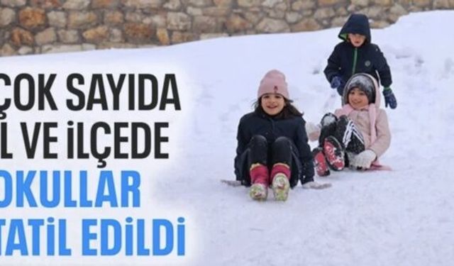 Kar yağışı nedeniyle birçok ilde 12 Ocak'ta eğitime ara verildi