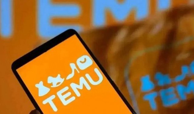 TEMU düzenlemesinde geri adımın nedeni netleşti