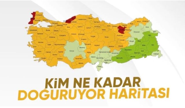 Doğurganlık hızı düştü! Geçen yıl 895 bin 374 bebek doğdu