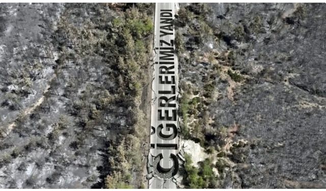 Fethiye'de yanan ormanlık alan havadan görüntülendi