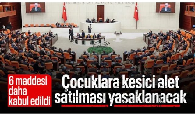 TBMM'de Çocuk Koruma Kanunu teklifinde 6 madde daha kabul edildi