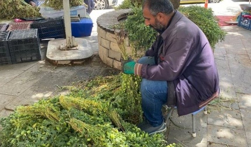 Diyarbakır’dan Elazığ’a gidiyor