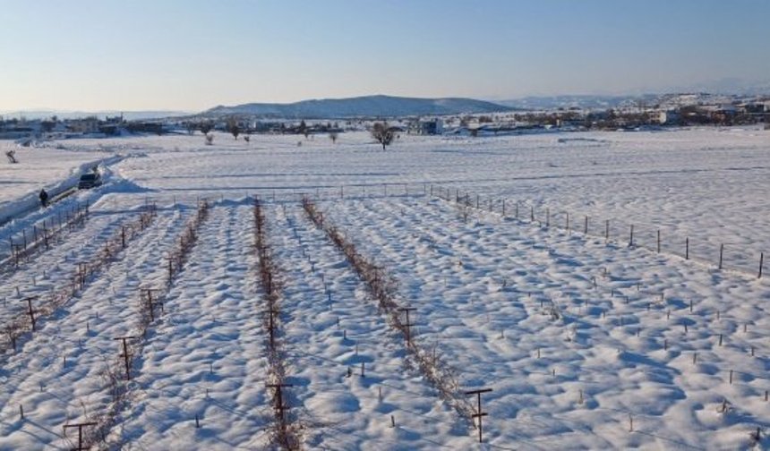 Diyarbakır'da kar yağışı çiftçiye umut oldu