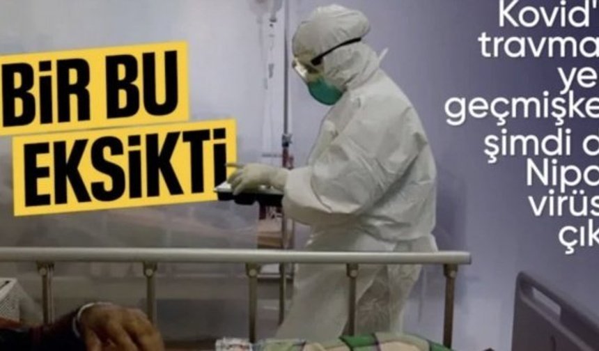 Hindistan'da görüldü: Nipah virüsü yayılıyor mu