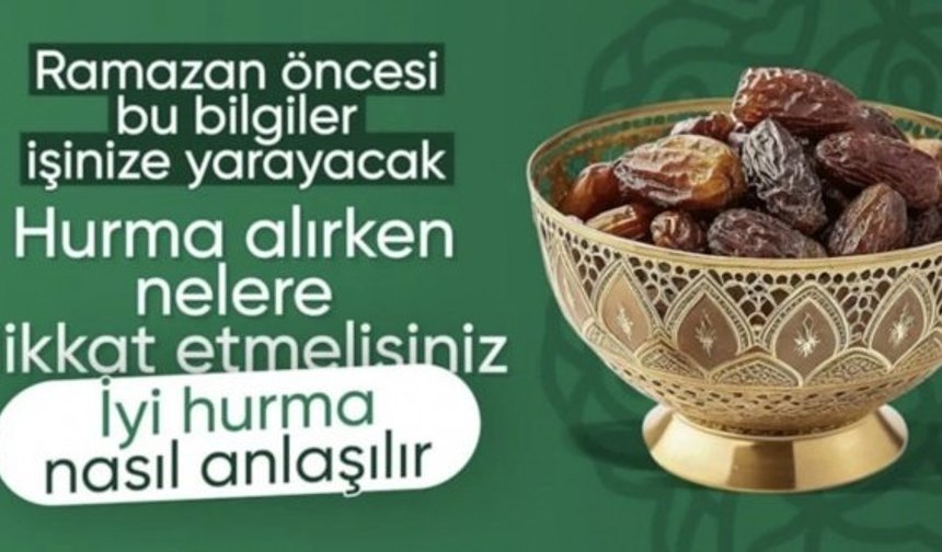 Hurma fiyatı 1.000 liraya dayandı! Kaliteli hurmayı anlamanın yolları