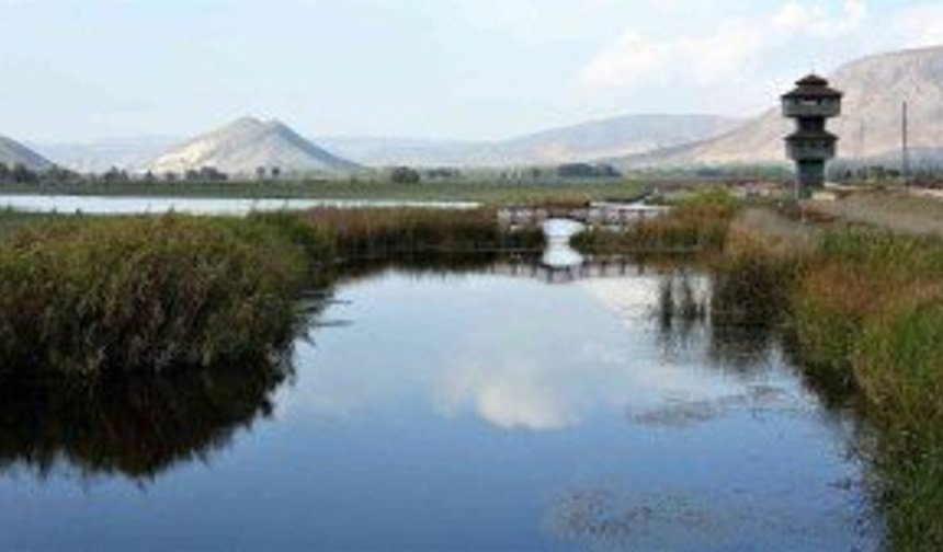 Kaz gölünde sonbahar