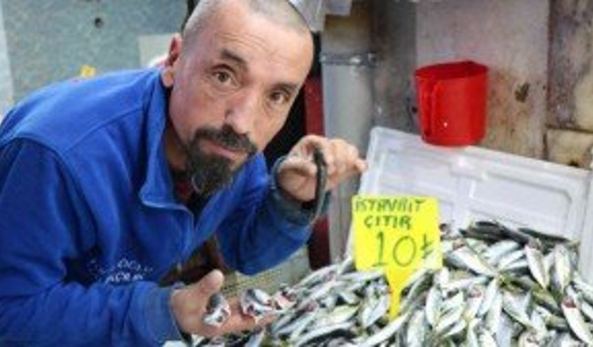 Samsun’da mevsim balıklarının fiyatı 10 TL ile 30 TL arasında değişiyor