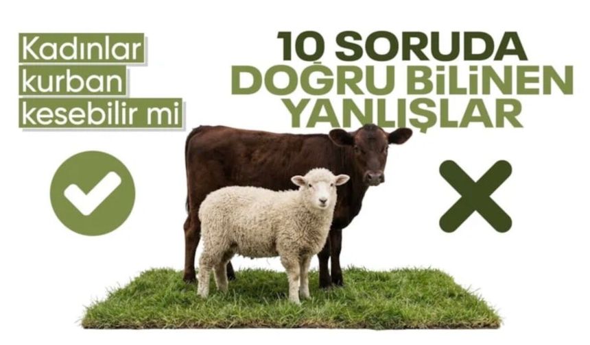 10 soruda kurban ibadeti: İşte doğru bilinen yanlışlar