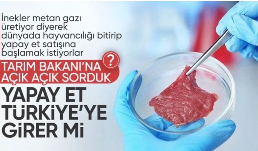İbrahim Yumaklı: Yapay et diye bir gündemimiz hiç olmadı