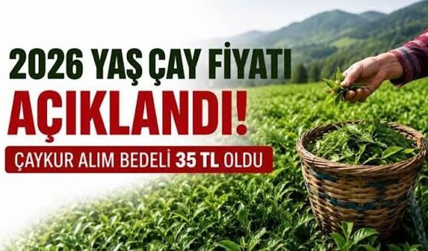 2026 yaş çay alım fiyatı açıklandı