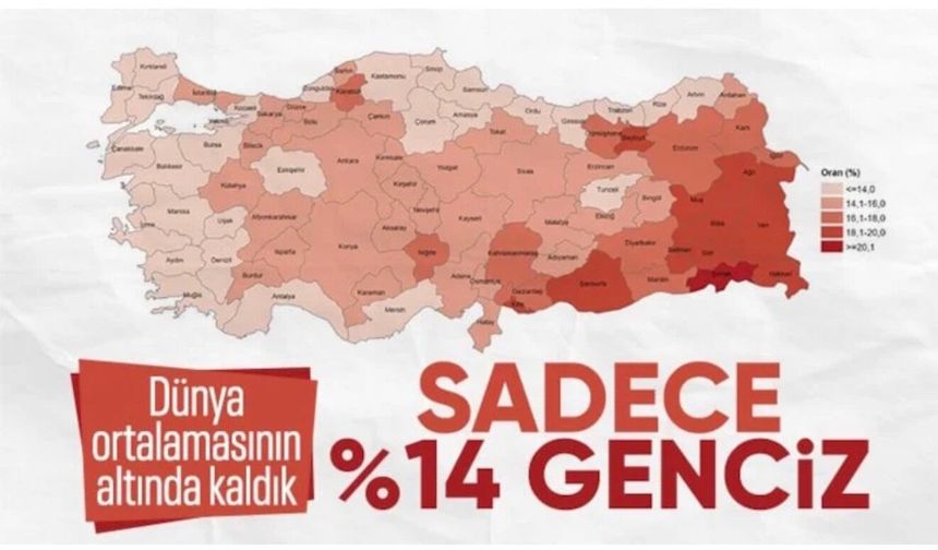 Türkiye nüfusunun yüzde 14,8'ini genç nüfus oluşturdu