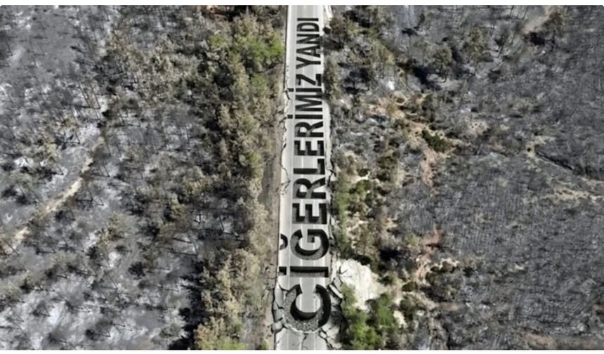 Fethiye'de yanan ormanlık alan havadan görüntülendi