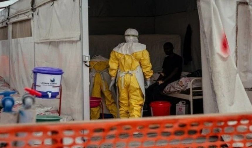 WHO: Ebola salgını kontrolden çıkıyor