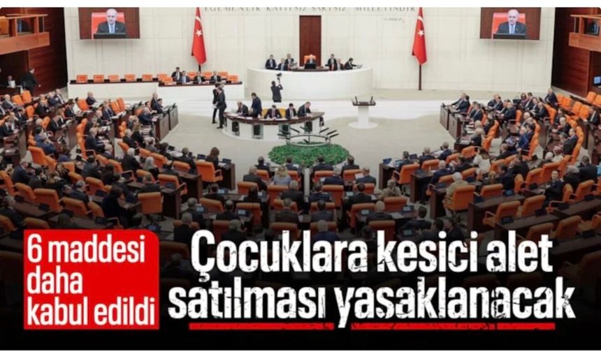 TBMM'de Çocuk Koruma Kanunu teklifinde 6 madde daha kabul edildi