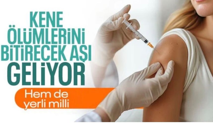 Kayseri'de kene vakaları için aşı geliştiriliyor