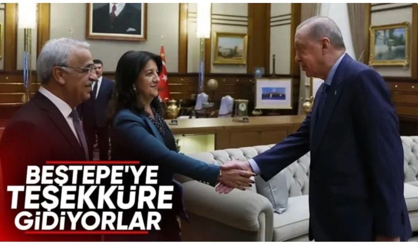 Cumhurbaşkanı Erdoğan, Pervin Buldan ve Mithat Sancar'ı kabul edecek