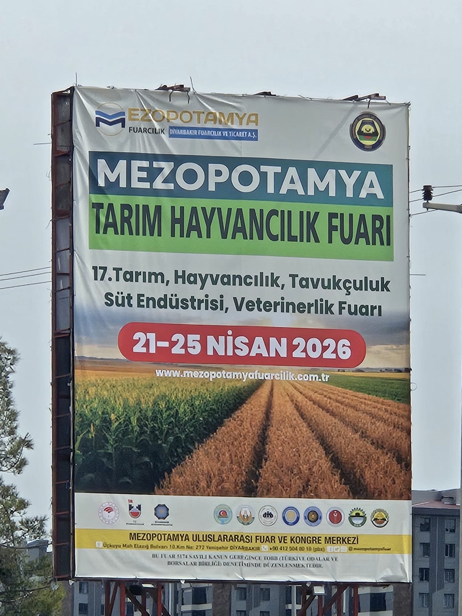 C83E017E 778D 4D58 8Fe5 897Dbd37689E