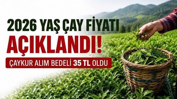 2026 yaş çay alım fiyatı açıklandı