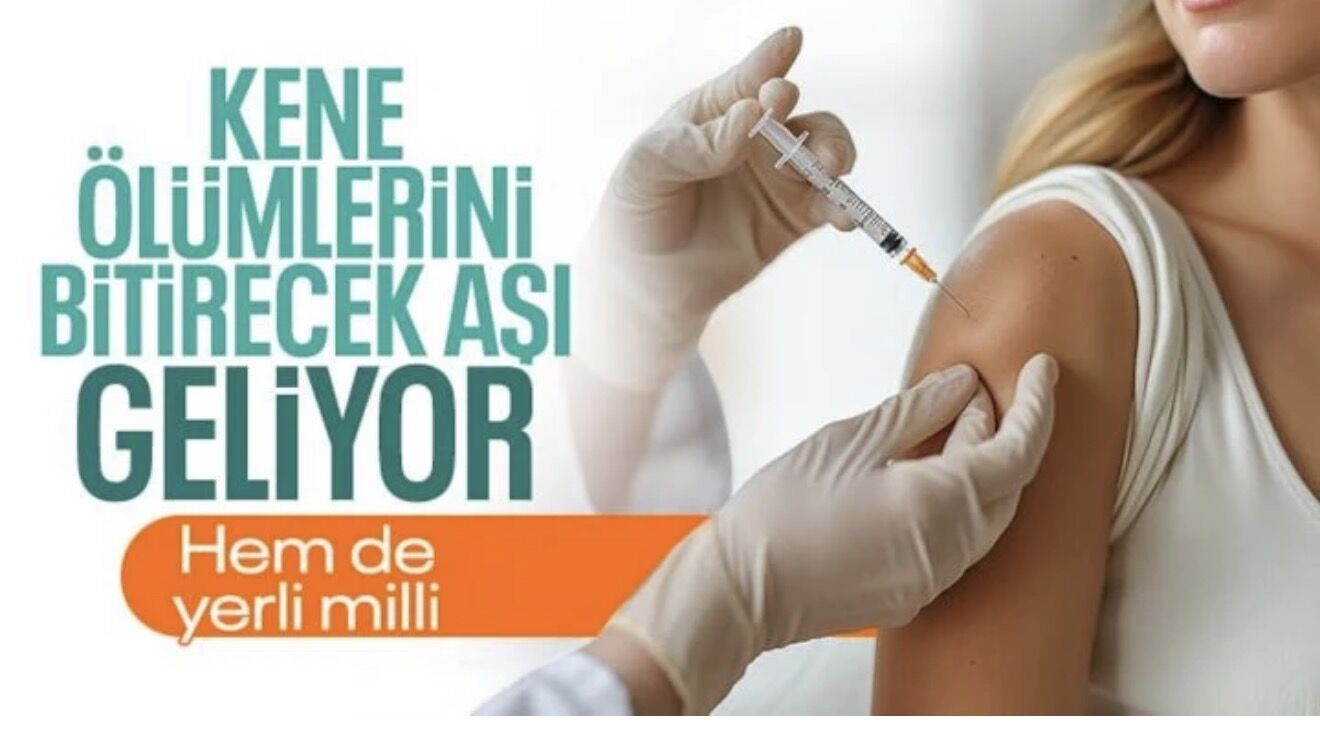 Kayseri'de kene vakaları için aşı geliştiriliyor