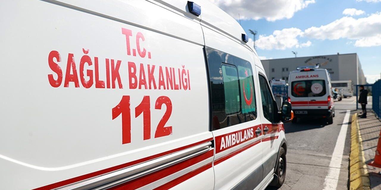 Diyarbakır'da kuduz teşhisiyle entübe edilen çocuk hayatını kaybetti